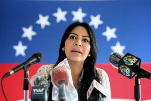 “Este proceso no puede ser organizado por el CNE”