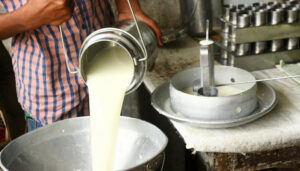 Industria láctea calcula producción en casi seis millones de litros al día