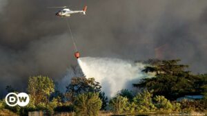 Italia sufre más de 30.000 incendios forestales en el último mes | El Mundo | DW