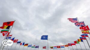 La OTAN abre proceso de ratificación para adhesión de Suecia y Finlandia | El Mundo | DW