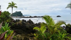 Nuquí: consejos para visitar el municipio de Chocó y ver ballenas jorobadas - Otras Ciudades - Colombia