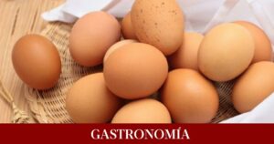 Qué son y qué características tienen los huevos de primera puesta