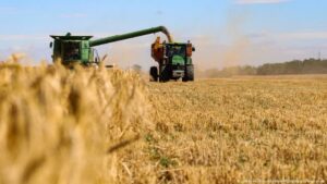 Rusia prepara texto sobre exportaciones de granos de Ucrania