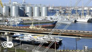 Rusia reivindica ataque contra puerto de Odesa y afirma que destruyó objetivos militares | El Mundo | DW