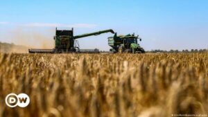 Rusia y Ucrania discuten en Turquía la crisis de exportación de granos | El Mundo | DW
