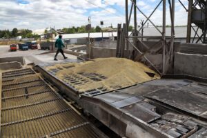 Rusia y Ucrania firman la reanudación de las exportaciones de grano bajo la supervisión de Turquía y la ONU