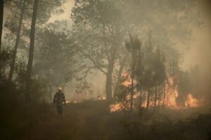 Se registra el mayor incendio forestal de la historia en Eslovenia