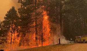Un incendio amenaza el Parque Nacional de Yosemite: ms de 4.800 hectreas arrasadas y 6.000 desalojados