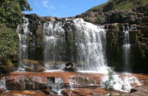 Cascada Pacheco, una caída de agua clara en el medio de un bosque muy verde – El Aragueño