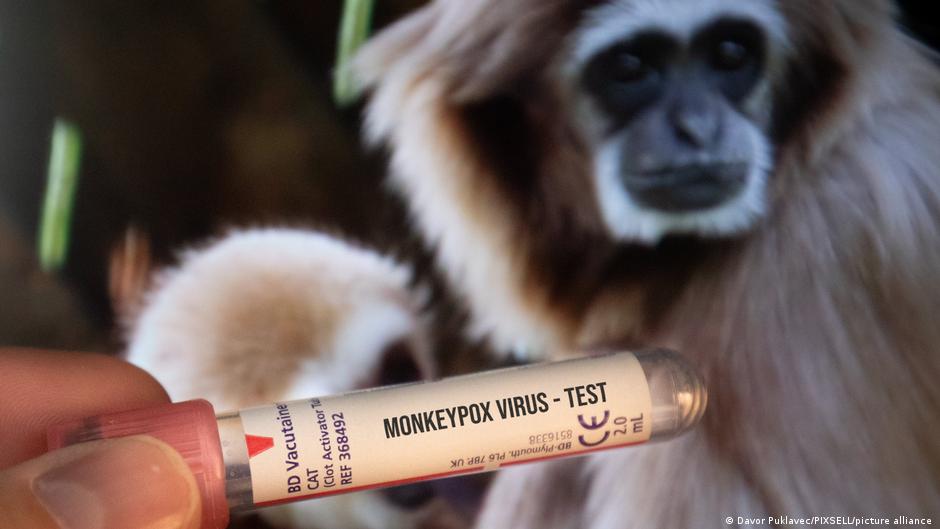 EEUU crea un grupo de respuesta ante la propagación de la viruela del mono