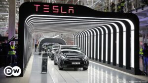 Elon Musk vende acciones de Tesla por unos USD 6.500 millones | El Mundo | DW