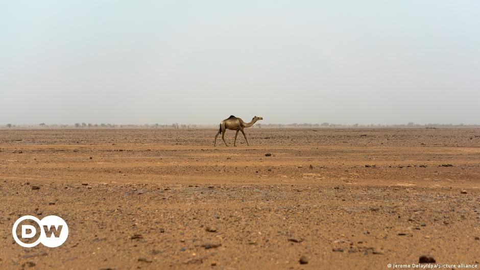 Europa mira el gas natural del Sáhara como opción energética | El Mundo | DW
