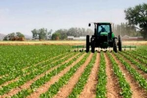 Fedeagro pide a la AN 2020 participar en discusión sobre Ley de Trabajadores Agrícolas