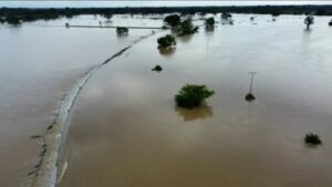 Fedeagro reporta afectaciones de cultivos por las lluvias