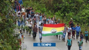 Indígenas Awá: Ubicación y cultura de habitantes masacrados en Nariño - Otras Ciudades - Colombia