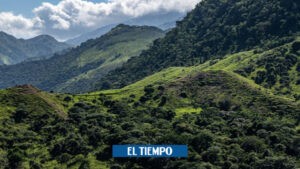 La Guajira: Declaran 40.000 hectáreas como áreas protegidas - Otras Ciudades - Colombia