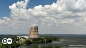 La central nuclear de Zaporiyia tiene 1.200 toneladas de combustible nuclear | Europa | DW
