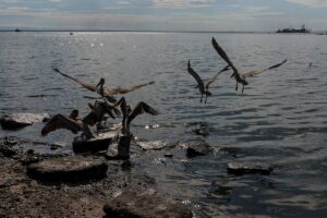 Lago de Maracaibo es el lugar donde se registran más derrames petroleros, denuncia ingeniero