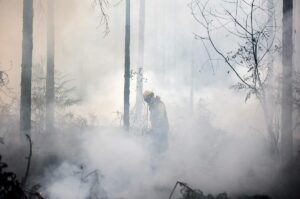Las autoridades francesas dan por controlado el incendio que ha quemado 7.400 hectreas en el sudoeste