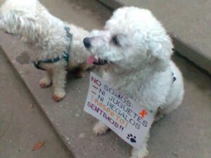 Marchan en Caracas en contra del maltrato animal