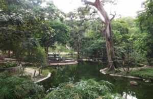 Parque Zoológico Caricuao, un espacio destinado a la protección de la fauna y flora – El Aragueño