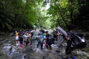 Reportan que al menos 78 venezolanos están desaparecidos en la selva del Darién