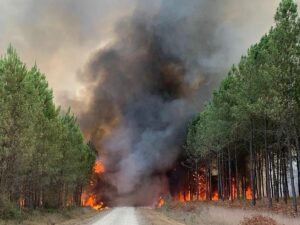 Se reanuda el gigantesco incendio desatado en el suroeste de Francia y que ya ha quemado ms de 6.000 hectreas