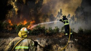 Un detenido en EEUU tras causar un incendio forestal tratando de quemar a una araña
