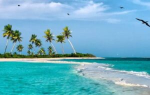 el oasis venezolano – El Aragueño