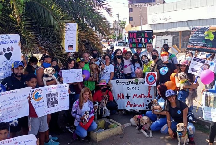 ▷ #Anzoátegui | Proteccionistas y sociedad civil marcharon hasta la Fiscalía #12Ago