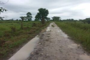 ▷ El paludismo está pegando duro en la parroquia San Camilo de Apure #5Ago