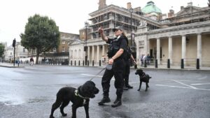 Apuñalamiento Londres | Dos policías acuchillados en el centro de Londres