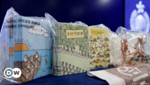 Hong Kong condena a cinco logopedas por conspirar para ″lavar el cerebro″ a niños con dibujos | El Mundo | DW