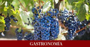 Qué es el polvillo blanco de las uvas