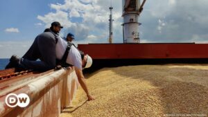 Ucrania ha exportado 3,7 millones de toneladas de granos por el mar Negro | El Mundo | DW