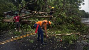 Así avanza la recuperación de Puerto Rico a un mes del huracán Fiona