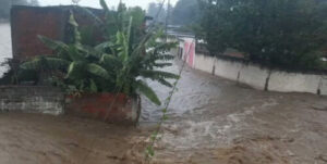 El río Noguera provoca inundaciones en más de 80 viviendas en Carabobo