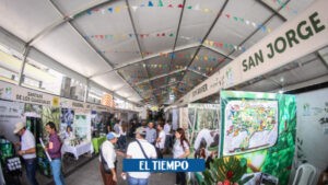 Festival de negocios en Tolima será una vitrina para emprendedores - Otras Ciudades - Colombia