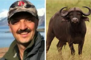 Muere el presidente de la Federacin Mexicana de Caza tras ser embestido por un bfalo al que trataba de cazar en Argentina