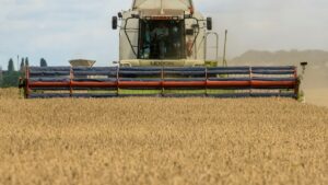 Rusia anuncia que suspenderá acuerdo de la ONU para cereales ucranianos