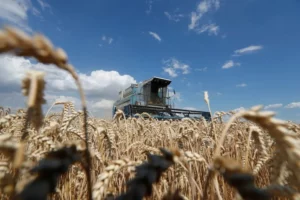 Rusia canceló su participación en el acuerdo de exportación de granos ucranianos tras ataques a sus buques