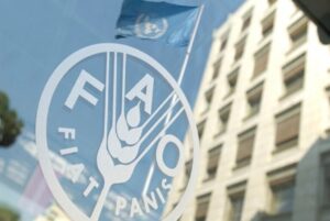 Según la FAO Venezuela muestra recuperación alimentaria