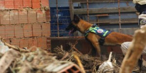 Unidad canina rescata con vida a cinco personas en Las Tejerías