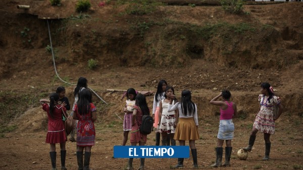 Ablación: la brutal práctica que sufren las mujeres indígenas de Risaralda - Otras Ciudades - Colombia