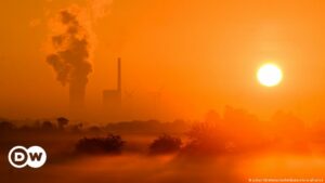 COP 27 en Egipto: ¿cuáles son las prioridades para el clima? | El Mundo | DW