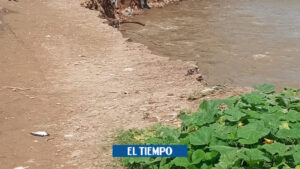 Crecientes del río Guatapurí habrían arrastrado a tres personas - Otras Ciudades - Colombia