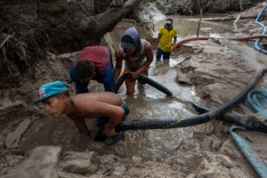 Cuantifican cómo la minería y la deforestación revivieron la malaria en Venezuela