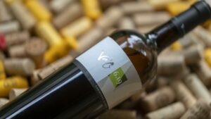 El vino blanco VD'O 6.19 Carinyena blanca-Sorra 2019, la recomendación de Audrey Doré, jefa de sumilleres de El Celler de Can Roca para la sección de 'De cata con...