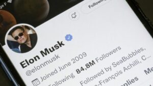 Elon Musk no descarta bancarrota para Twitter | Diario El Luchador