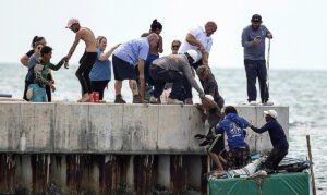 Huida y muerte de siete balseros cubanos a manos de los guardacostas: "Os voy a partir por la mitad"